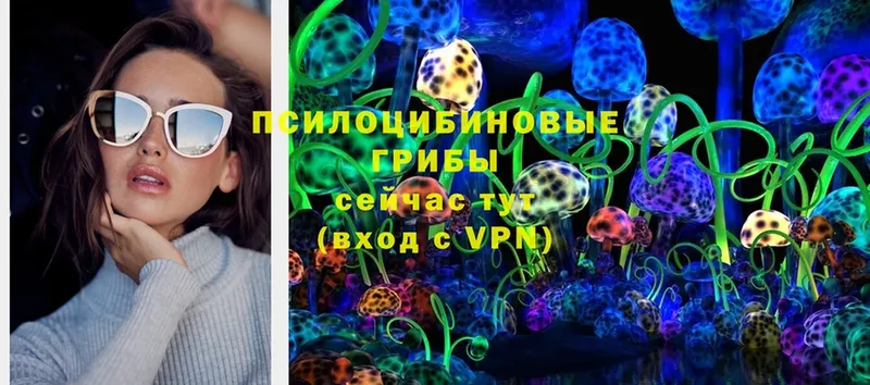 Галлюциногенные грибы Psilocybine cubensis  Ступино 